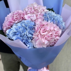 Букет из 5 голландских гортензий микс в Ступино