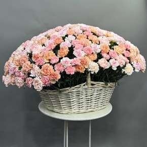 Композиция в корзине из 251 диантуса микс в Ступино