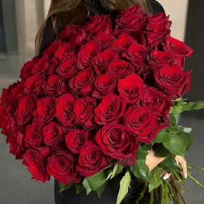 Букет 51 роза Эквадор Эксплорер (70 см) в Ступино