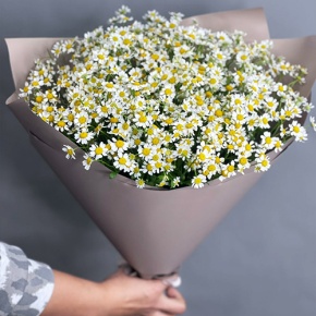 Букет из 17 ромашек танацетум в Ступино