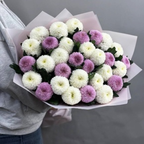 Букет из 31 хризантемы Момоко микс в Ступино
