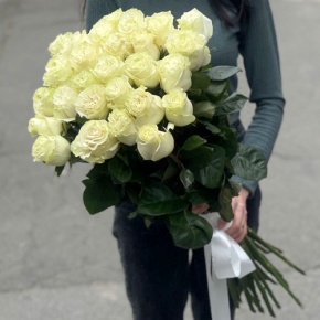 Монобукет из 25 роз Эквадор Мондиаль (80 см) в Ступино