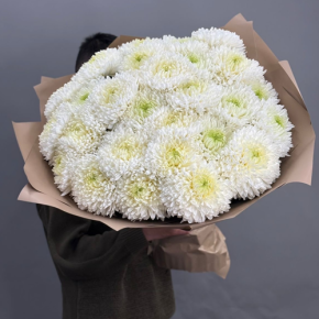 Букет из 27 хризантем Магнум в Ступино