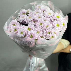 Букет "Нежный комплимент" из 9 кустовых хризантем в Ступино