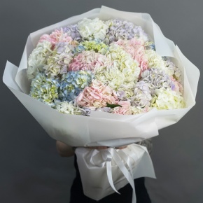 Букет из 23 гортензий микс в Ступино