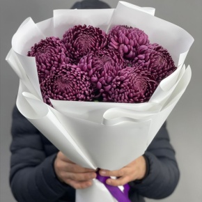 Букет "Винная легенда" из 7 хризантем Бигоуди в Ступино