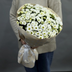 Букет "Милая моя" из 17 хризантем сантини в Ступино