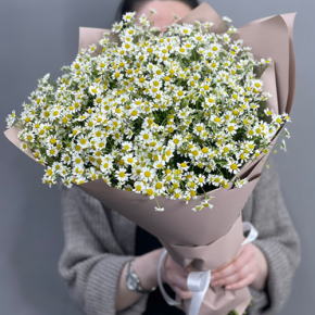 Букет из 17 полевых ромашек в Ступино