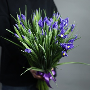 Букет из 49 ирисов в Ступино