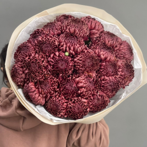 Букет 21 шоколадной хризантемы Бигоуди в Ступино