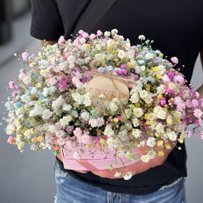 Композиция в коробке сердца из радужных гипсофил с топпером в Ступино