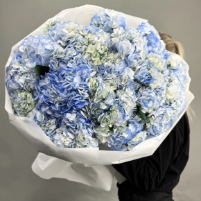 Букет из 23 синих гортензий в Ступино