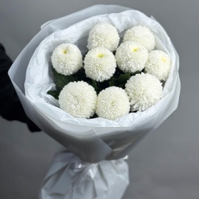 Букет из 9 белых хризантем Момоко в Ступино