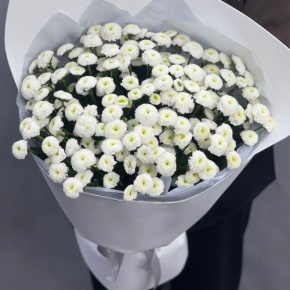 Букет "Белая дымка" из 25 хризантем сантини в Ступино