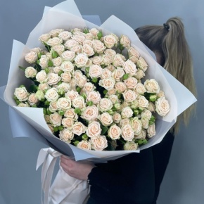 Букет из 25 кремовых кустовых роз (70 см) в Ступино
