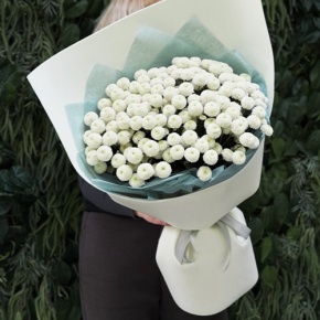 Букет из 25 хризантем Ньютон в Ступино