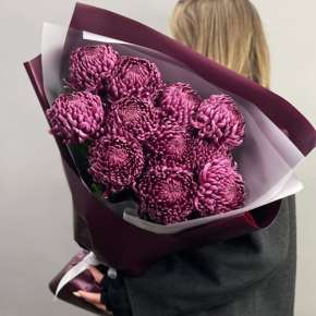 Букет "Изобилие" из 11 винных хризантем Бигоуди в Ступино