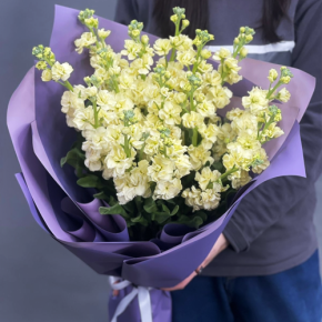 Букет из 15 лимонных маттиол в Ступино