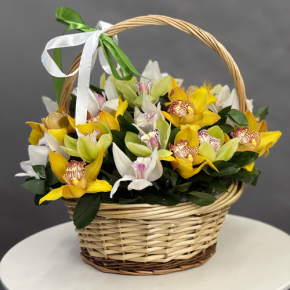 Композиция в корзине из 25 орхидей микс в Ступино