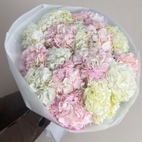 Букет из 17 нежных гортензий в Ступино