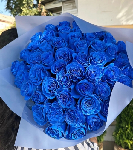 Букет из 51 синей розы Эквадор (60 см) в Ступино