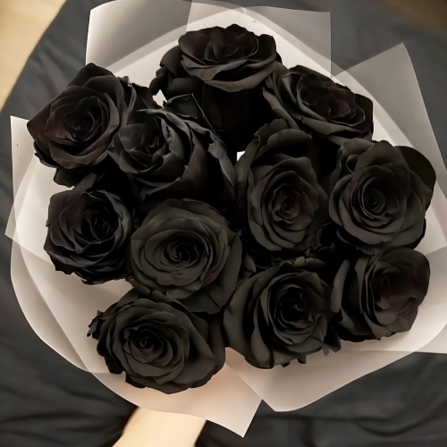 Букет "Черная королева" из 11 черных роз Эквадор (60 см) в Ступино