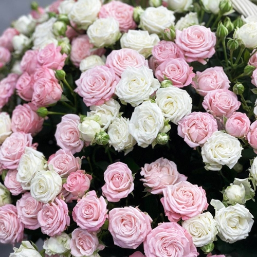 Композиция в корзине из 101 кустовой пионовидной розы в Ступино