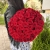 Букет 51 красной розы 50 см в Ступино Букет 51 красной розы 50 см в Ступино