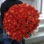 Букет 101 коралловая роза (60 см) в Ступино Букет 101 коралловая роза (60 см) в Ступино