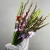 Букет из 25 гладиолусов микс в Ступино Букет из 25 гладиолусов микс в Ступино