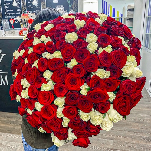 Букет 151 роза красный и белый микс (60 см) в Ступино