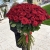 Букет из 101 красной розы (90 см) в Ступино Букет из 101 красной розы (90 см) в Ступино