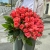 Букет 51 роза коралл (60 см) в Ступино