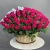 Композиция в корзине из 151 малиновой розы в Ступино Композиция в корзине из 151 малиновой розы в Ступино