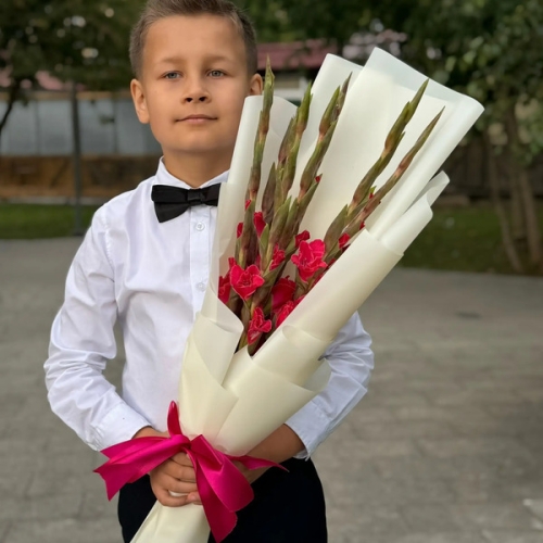 Букет на 1 сентября из 7 малиновых гладиолусов в Ступино