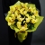 Букет из 13 лимонных орхидей в Ступино Букет из 13 лимонных орхидей в Ступино